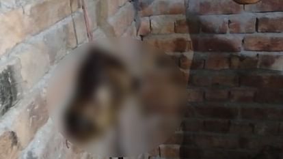 Man cut off head of animal and hung it in his house in Fazilka of Punjab