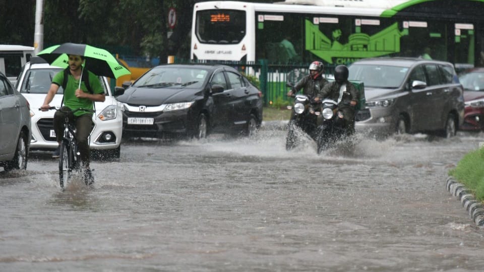 Rain in Chandigarh, panchkula and mohali