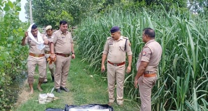 Saharanpur: Decomposed body of a history-sheeter found in a sugarcane field