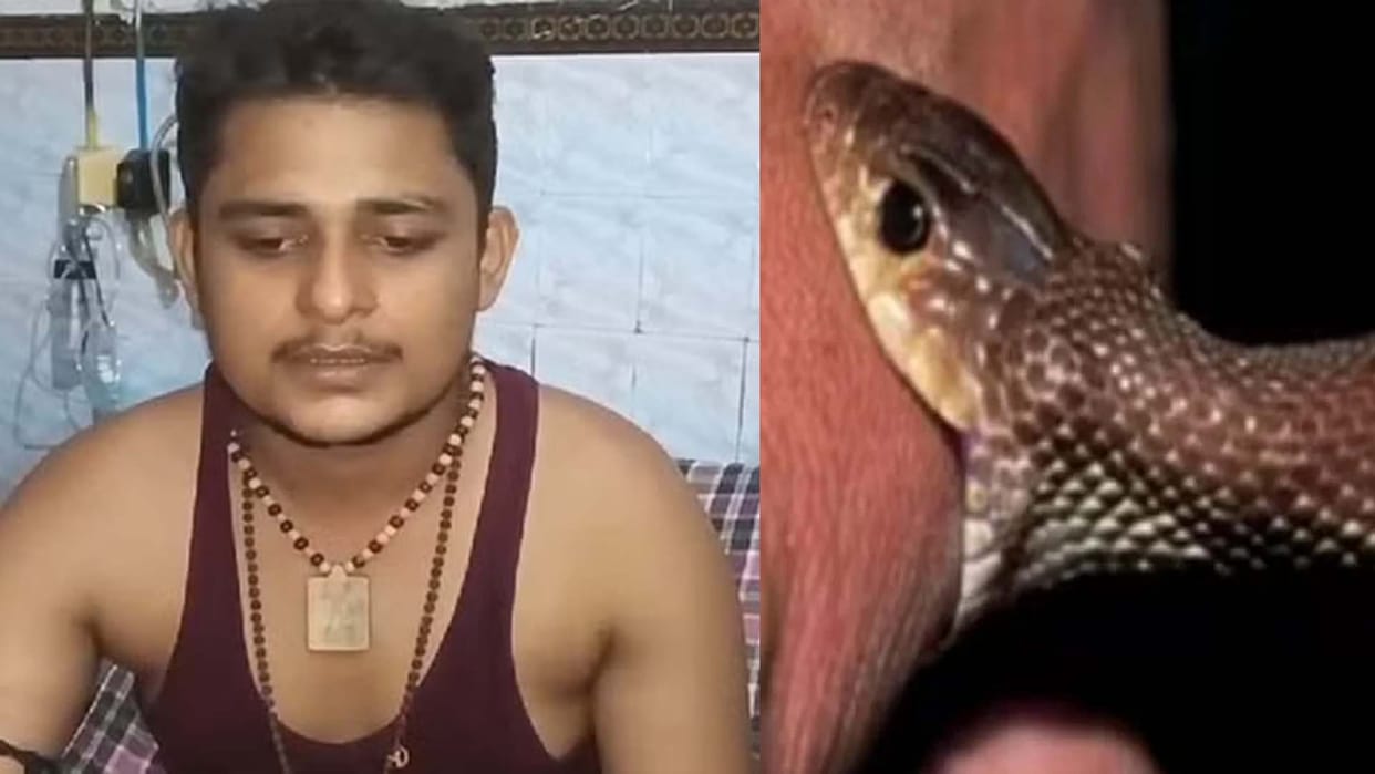 Snake bites him 7 times in 40 days, Health and revenue department will take responsibility for Vikas safety