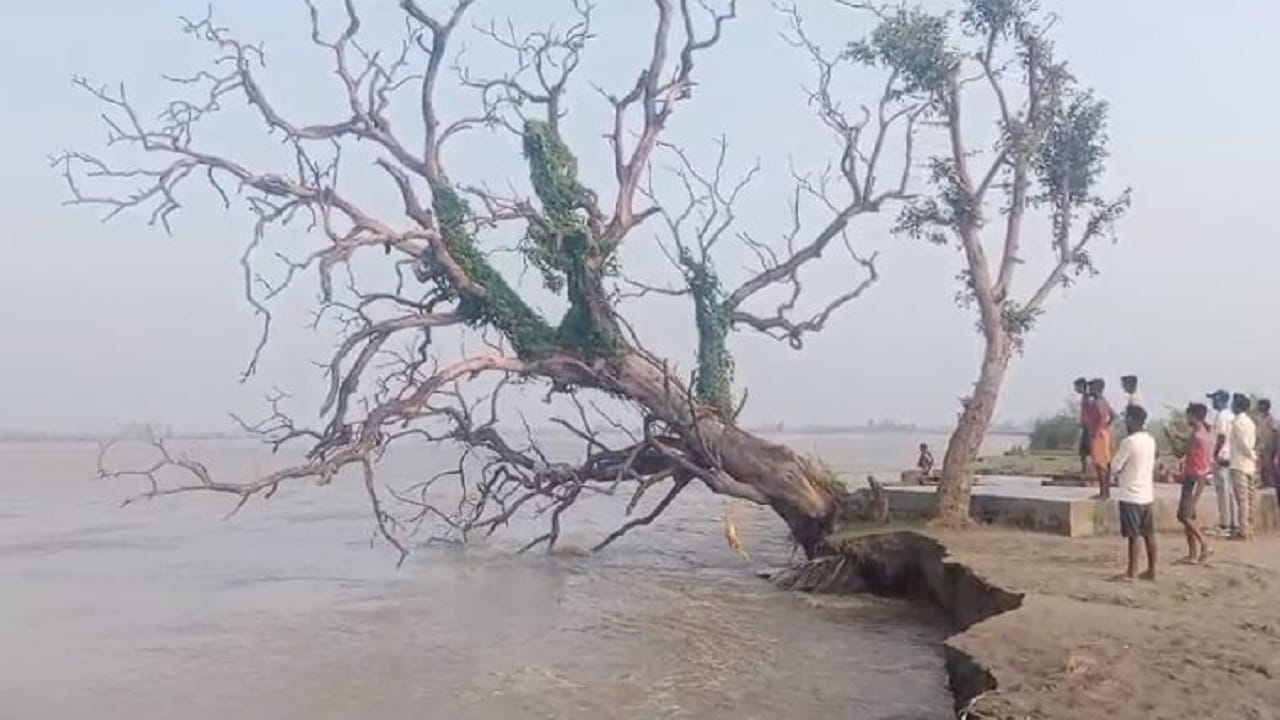 UP Flood News Havoc in Many Districts Of Up Acres of Crops Destroyed, Large Population Faces Starvation