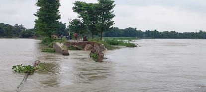Bihar News: The bridge collapsed again in Araria, collapsed due to the strong flow of Parman river