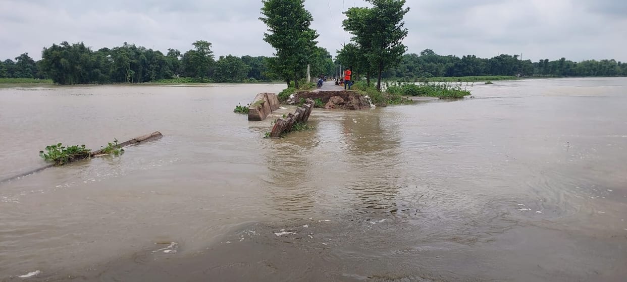 Bihar News: The bridge collapsed again in Araria, collapsed due to the strong flow of Parman river
