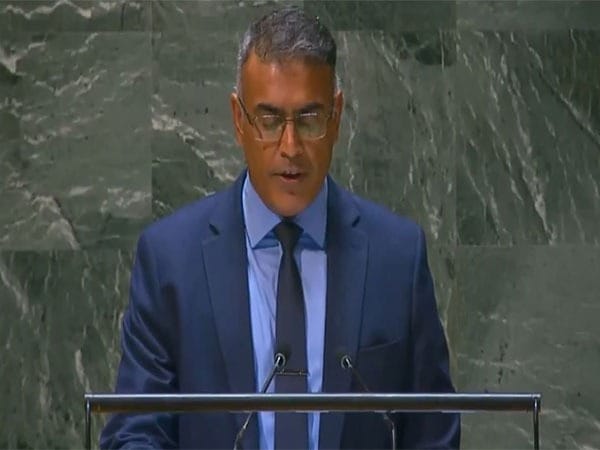 India engaged in peace-building via extensive development partnerships with Global South countries hindi news