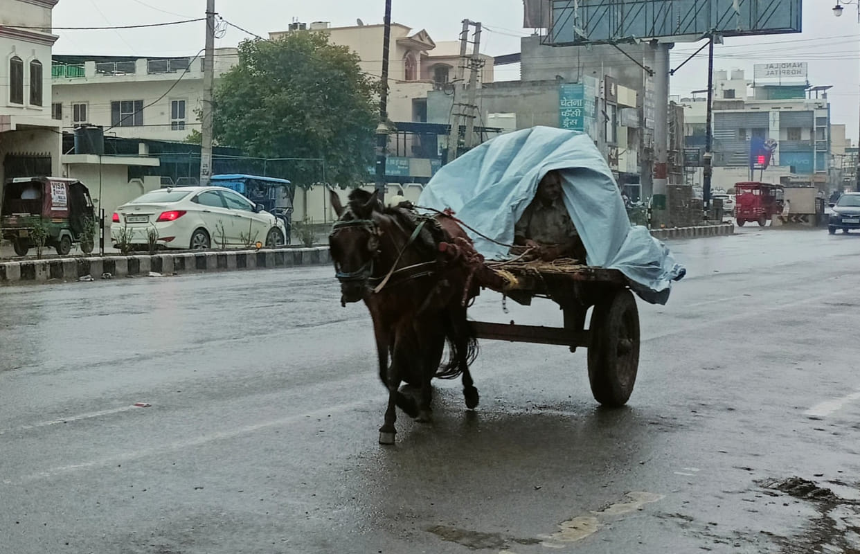 Rain in Kurukshetra of Haryana, Relief to humidity