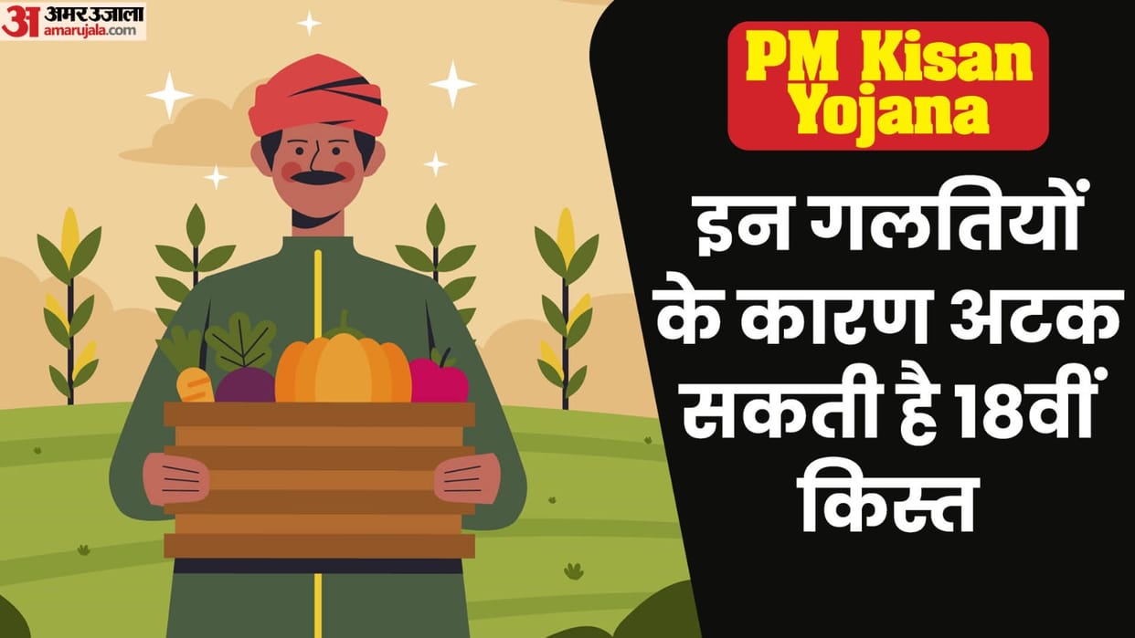 PM Kisan Nidhi: do not make these mistakes otherwise 18th kist may stuck