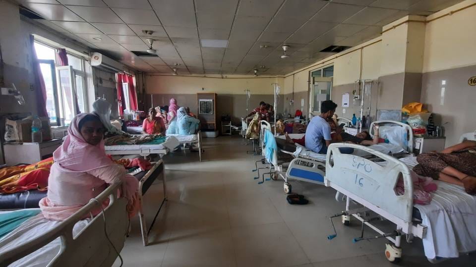 लेडी लायल