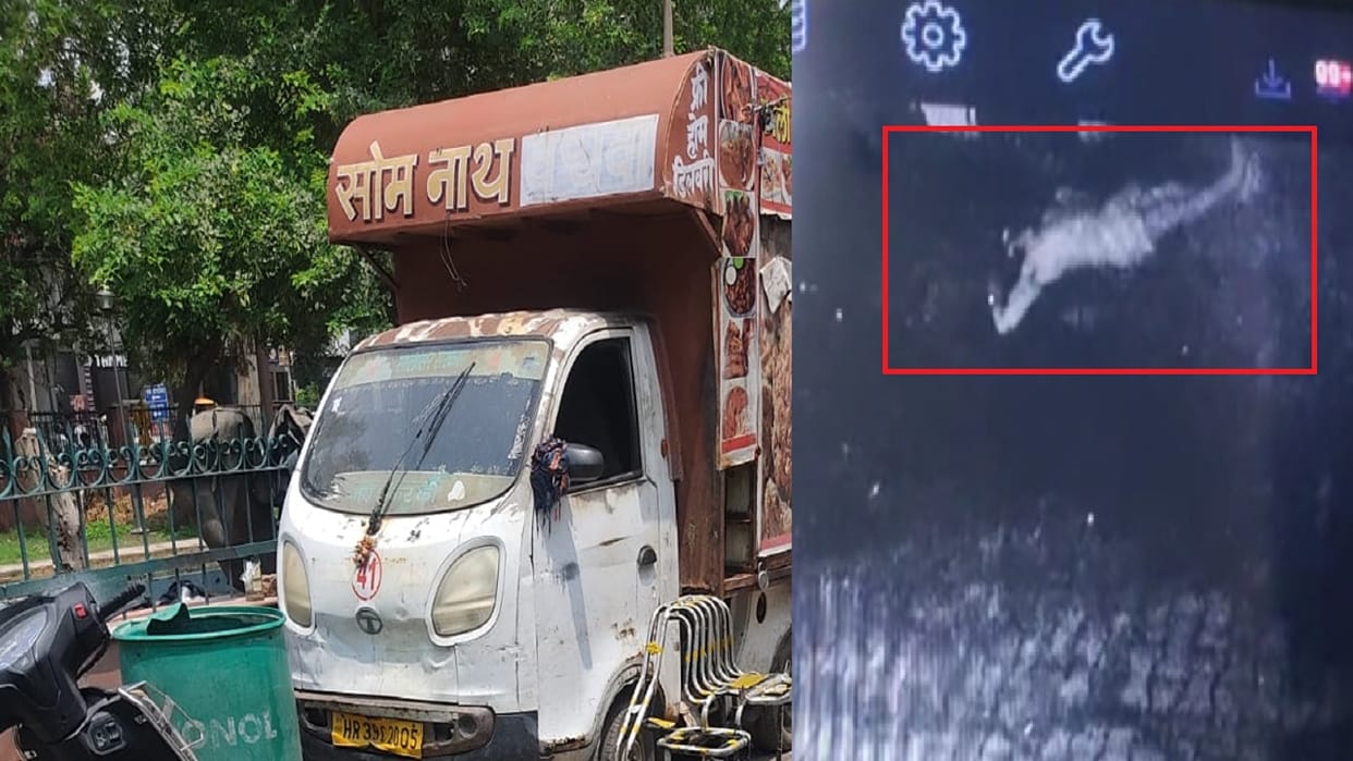 young man died due to electric shock in mobile food van in Hisar, 2 dogs that came near deceased died