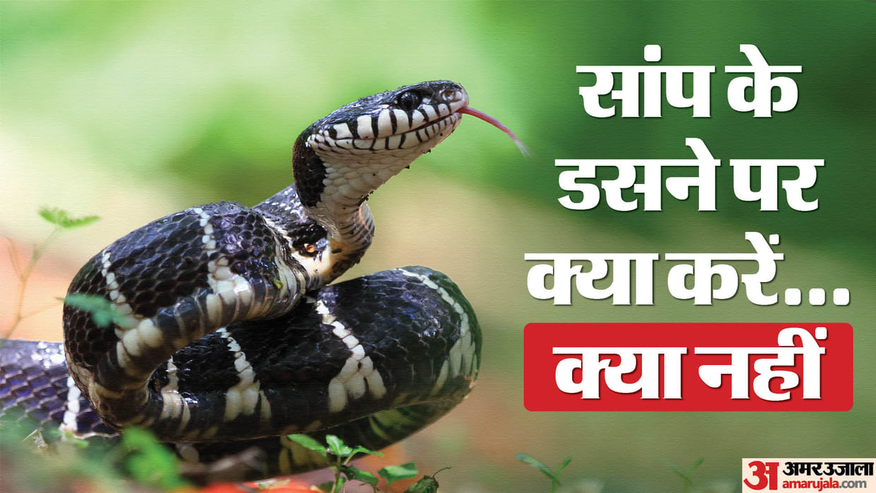 Do not panic if you are bitten by a snake go to the hospital immediately