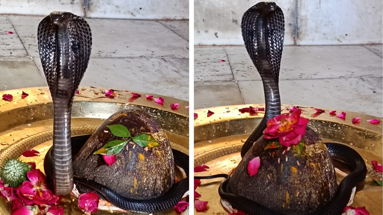 Ujjain: Know where is that Shiva temple, where a crowd of devotees gathered even before Shravan