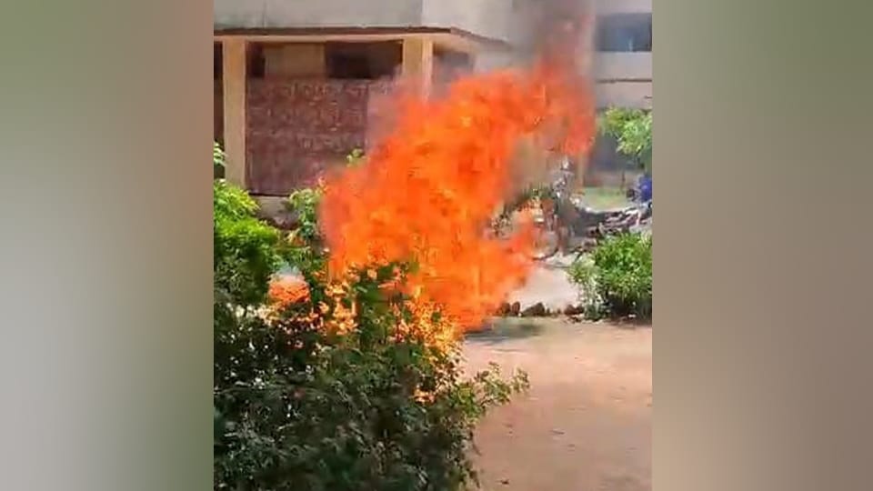Woman burnt alive in police station aligarh lighter fell during scuffle son picked it up and lit it