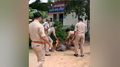 Woman burnt alive in police station aligarh Case filed against in-laws for woman death due to burning in Khair