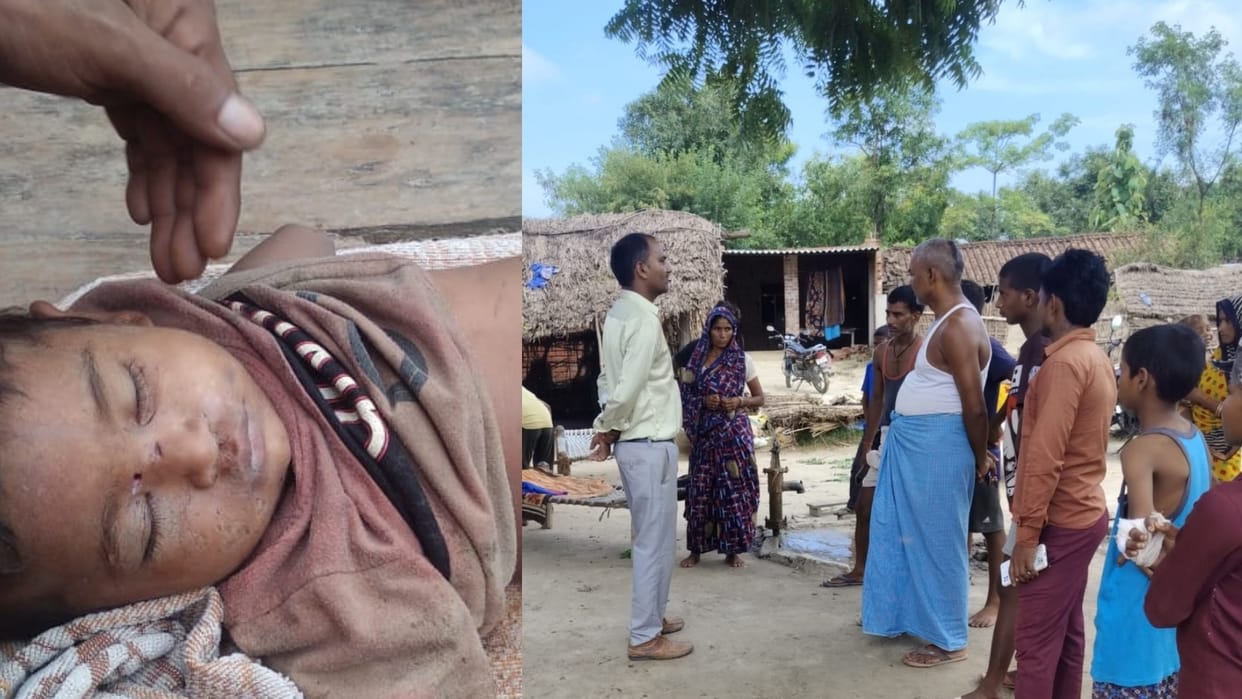 A wolf killed a child in Mahasi Bahraich.