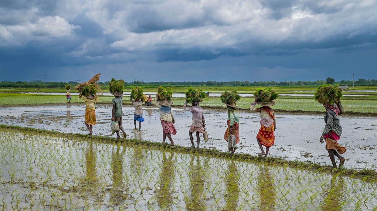 Telangana: Govt is going to bring a scheme for loan waiver of farmers, know the matter