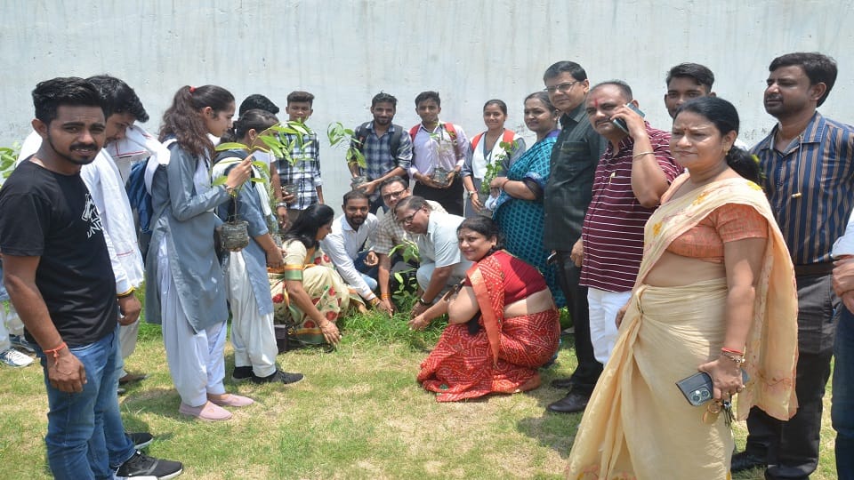 Amar Ujala Plantation Campaign