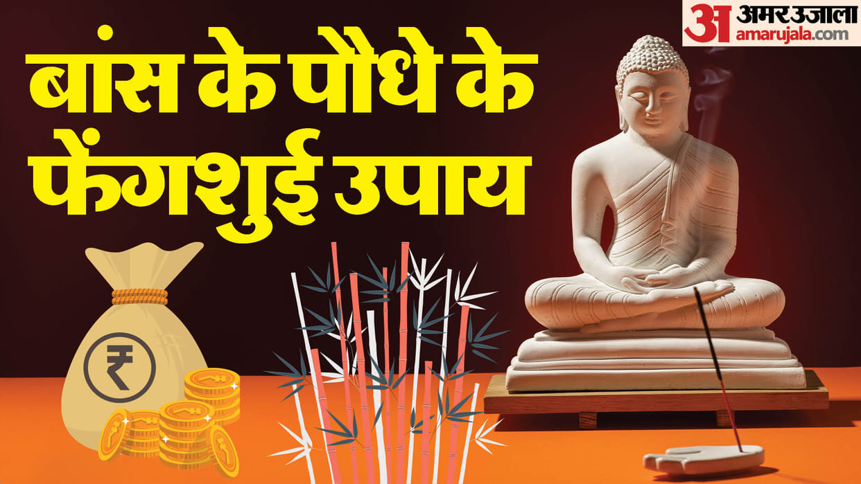 5 Feng Shui tips related to bamboo bring happiness and prosperity in home in hindi