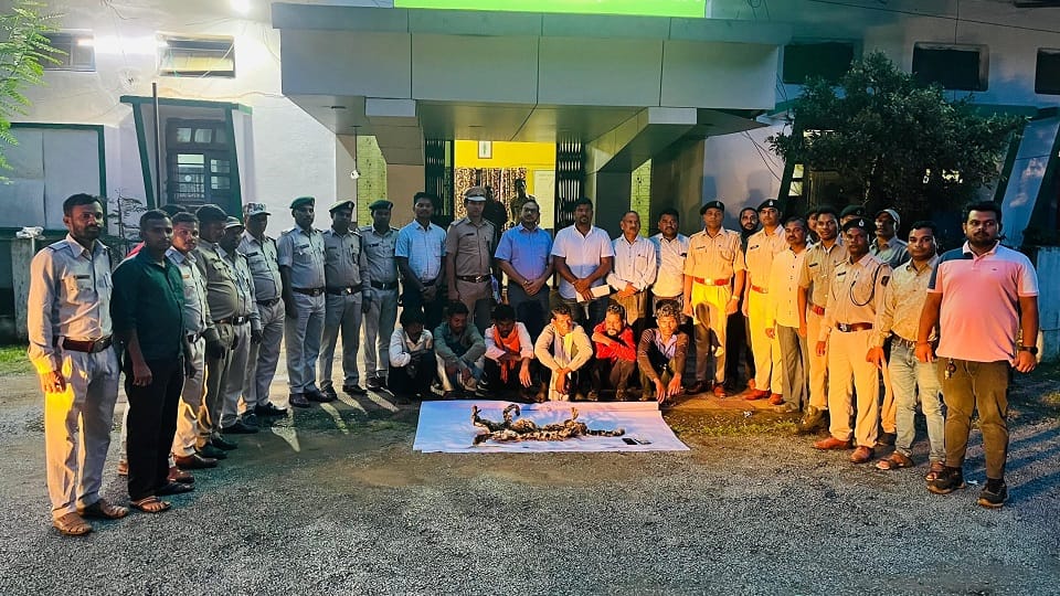 Forest department arrested six accused smuggling leopard skin in Kondagaon