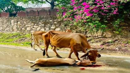 राजस्थान