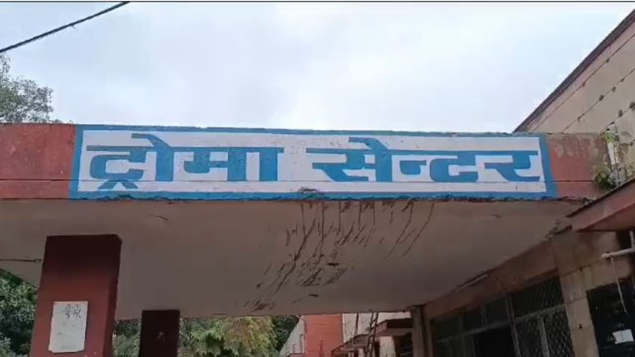 Alwar : Mad dog attacked and badly scratched a three year old girl, admitted to hospital in critical condition