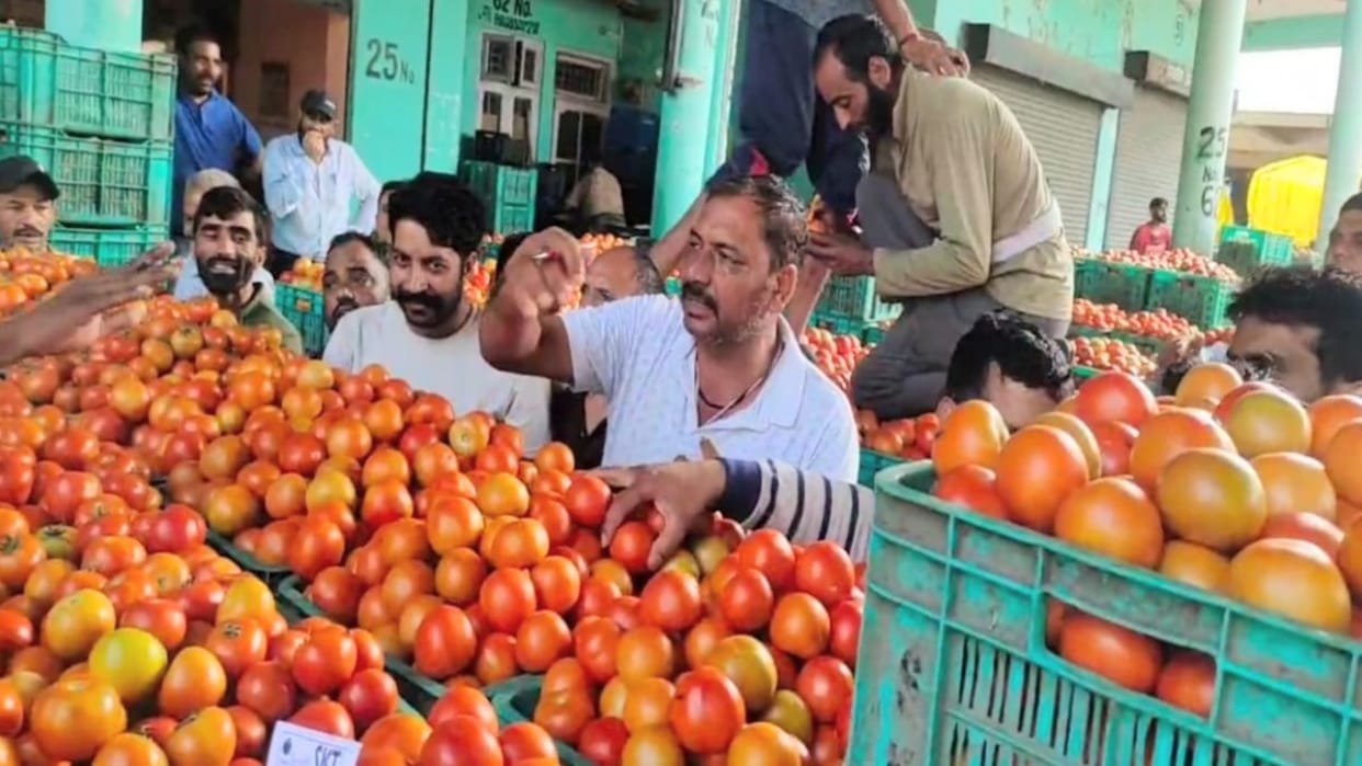 Himsona tomatoes got record rates in Solan market, crate sold for Rs 1575