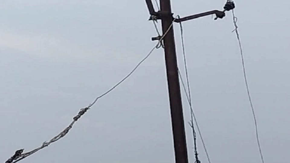High tension line wire broke and fell on the woman