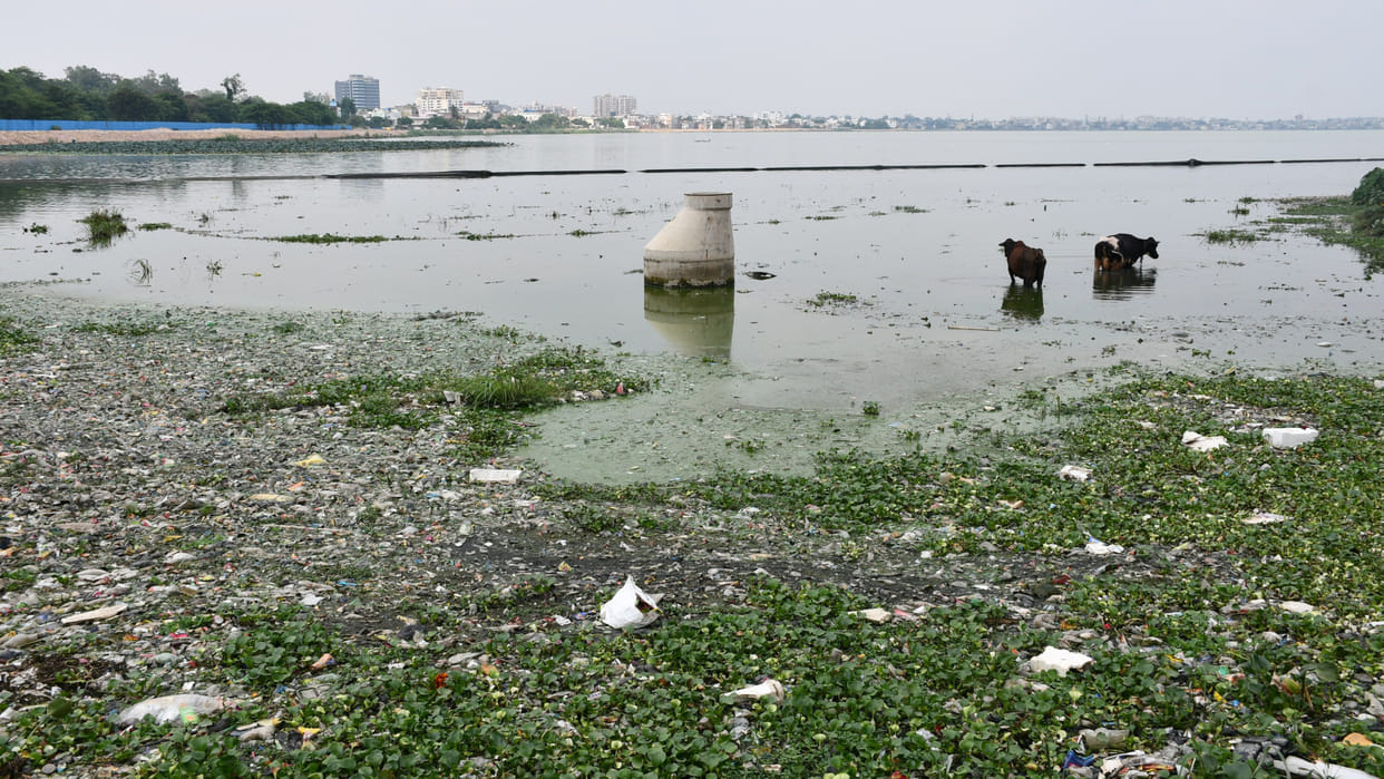 Silt of Gorakhpur's Ramgarhtal will be used as soil in the ring road, fish will be saved