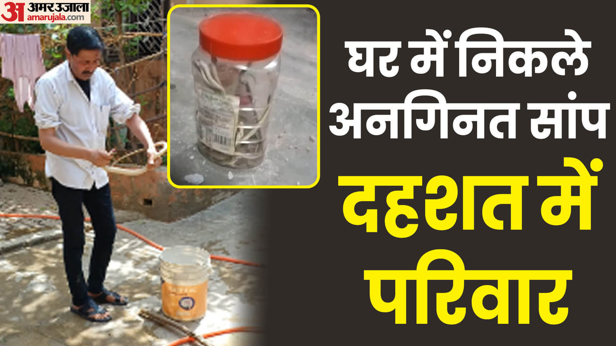 Baghpat: Hundreds of snakes found in a mans house, rescue operation went on for four days