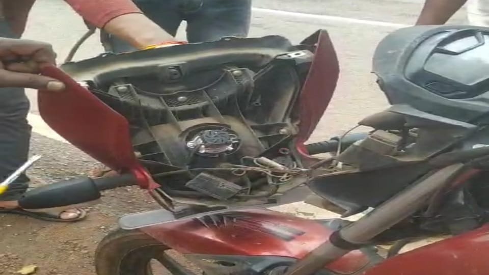 लाइट खोलकर निकाला गया सांप