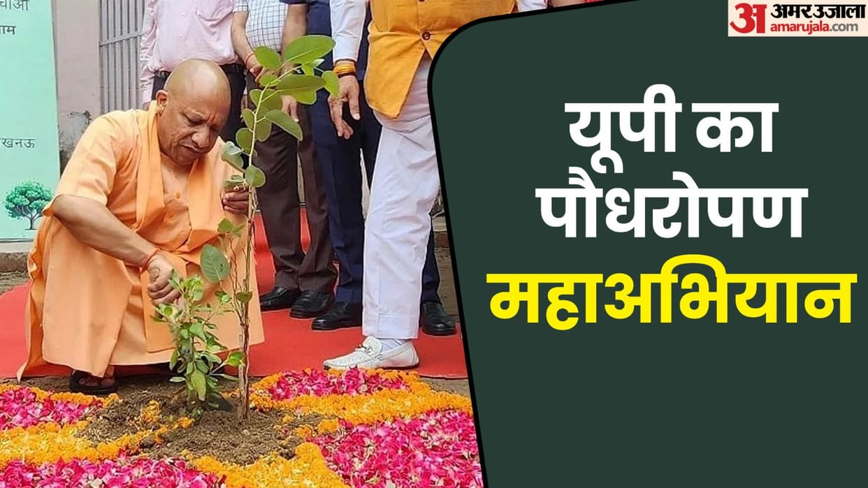 UP: Plants will be given to children born between July 1 and 7 in the state, instructions given to government