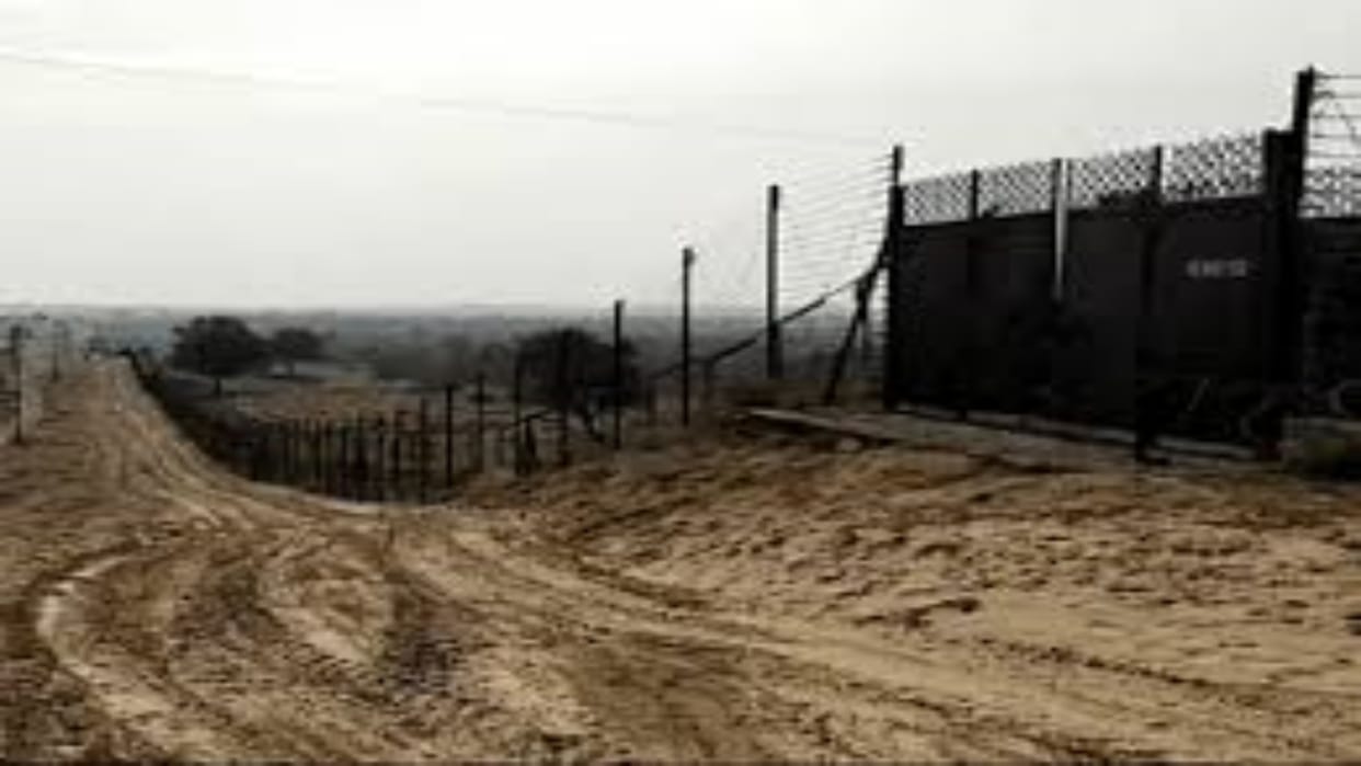 Rajasthan : Cattle were pushed after cutting the fencing on India-Pak border, security agencies investigating