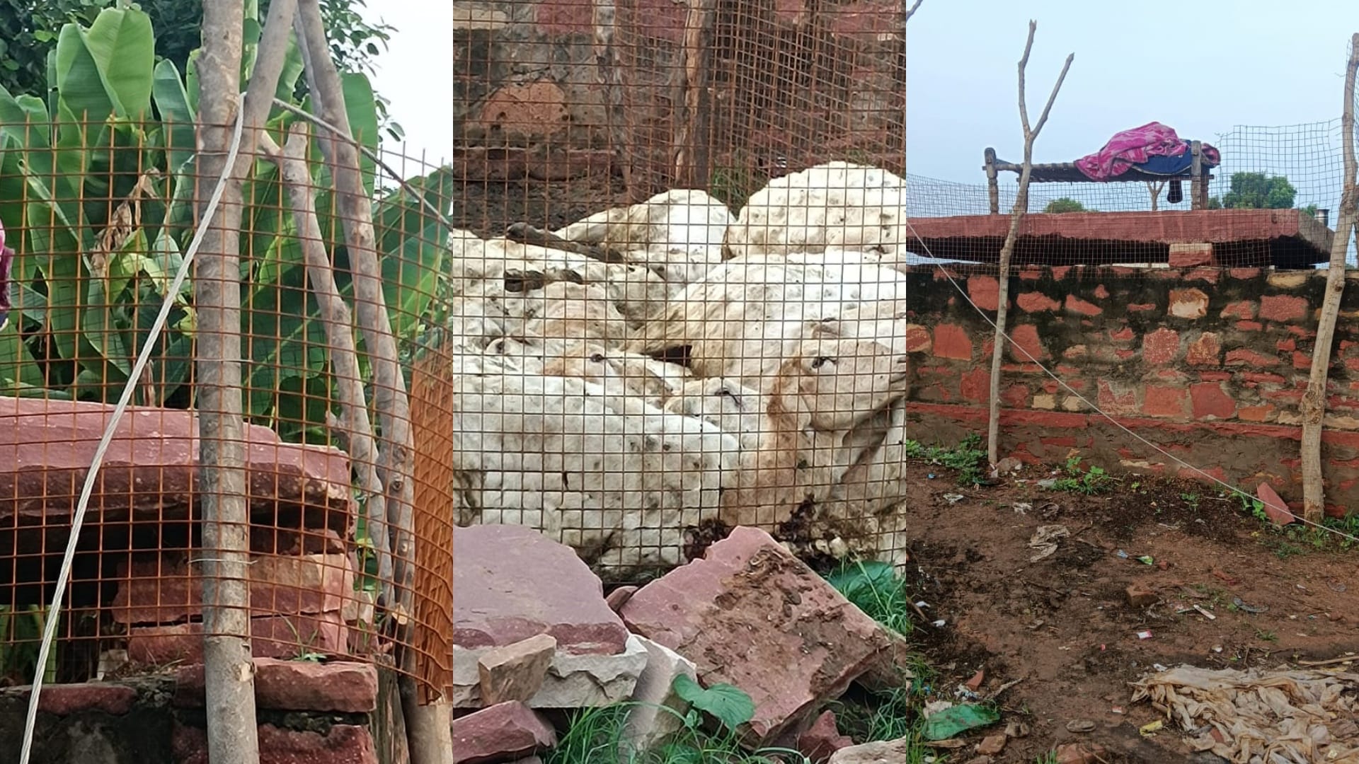 घटना स्थल