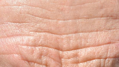 palmistry lucky lines and signs on forehead know what Samudrik Shastra says in hindi