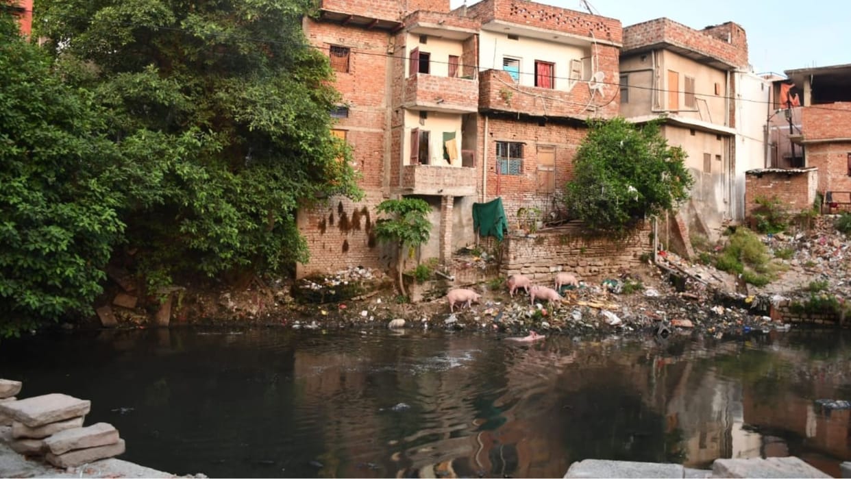 Varanasi News NGT seeks clarification from NMCG regarding tapping of Assi River demands report