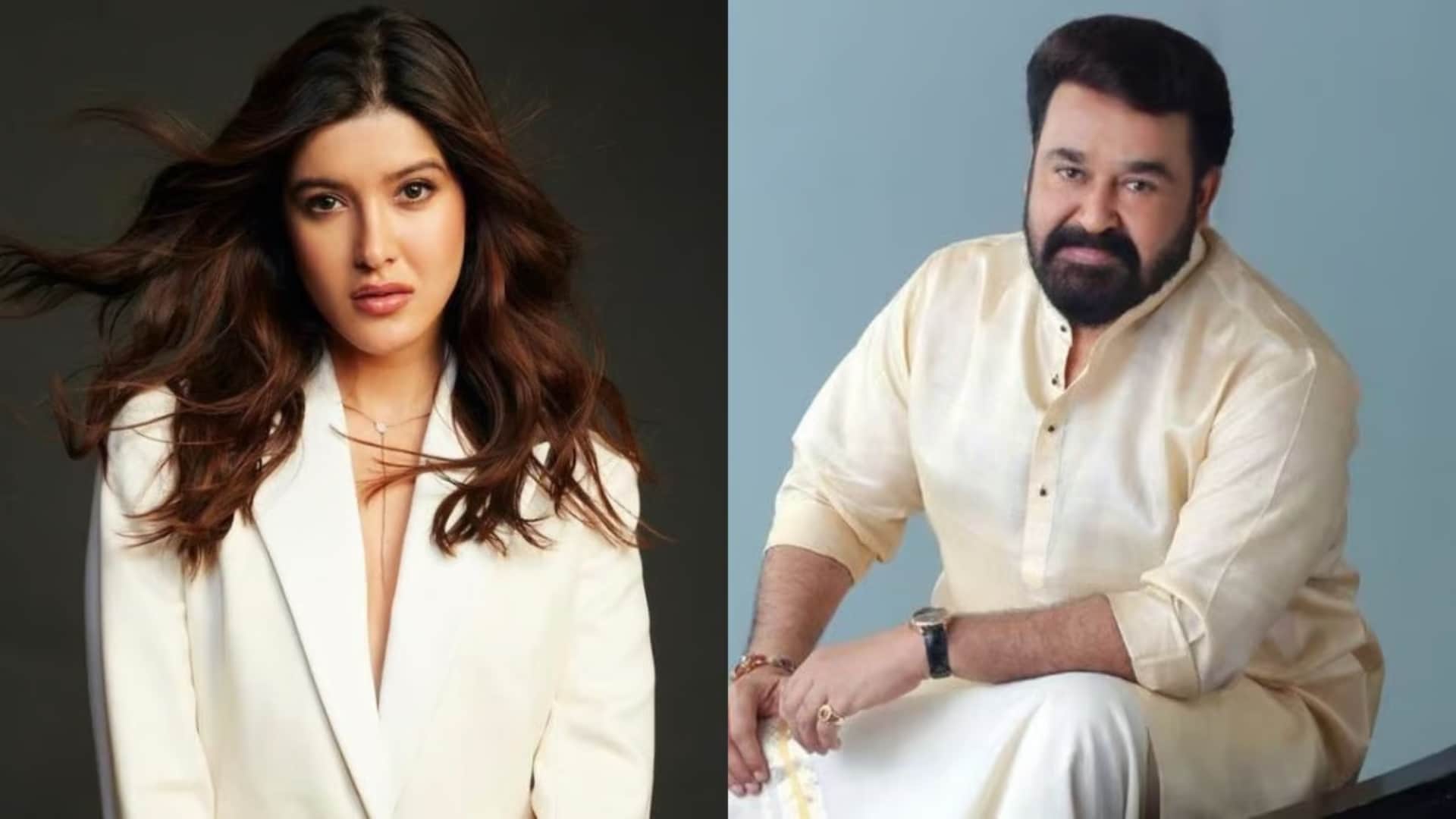 Bollywood South Actor Pairs in Upcoming Movies War 2 Vrushabha KGF 3 Devara