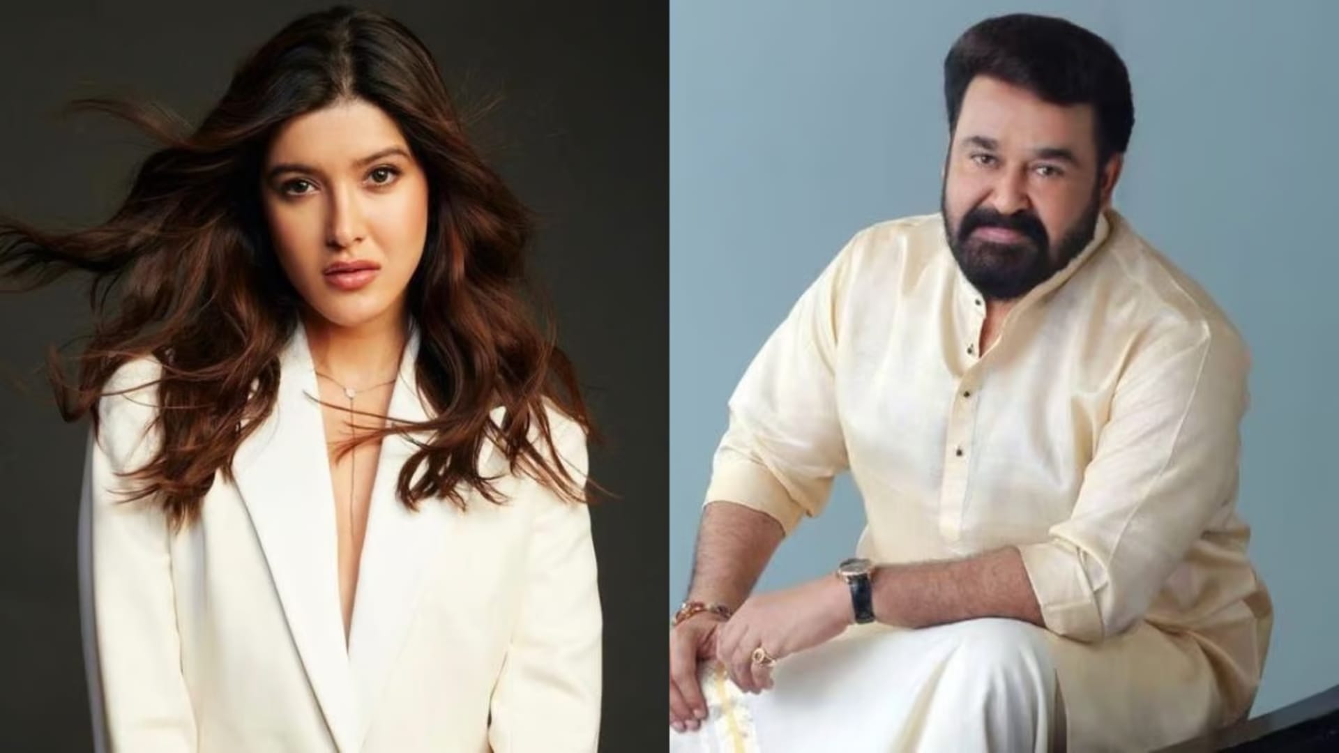 Bollywood South Actor Pairs in Upcoming Movies War 2 Vrushabha KGF 3 Devara