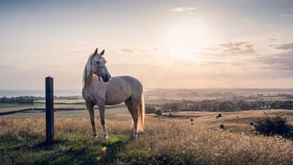 Bathinda police arrested two accused in case businessman was defrauded of one crore rupees on selling him