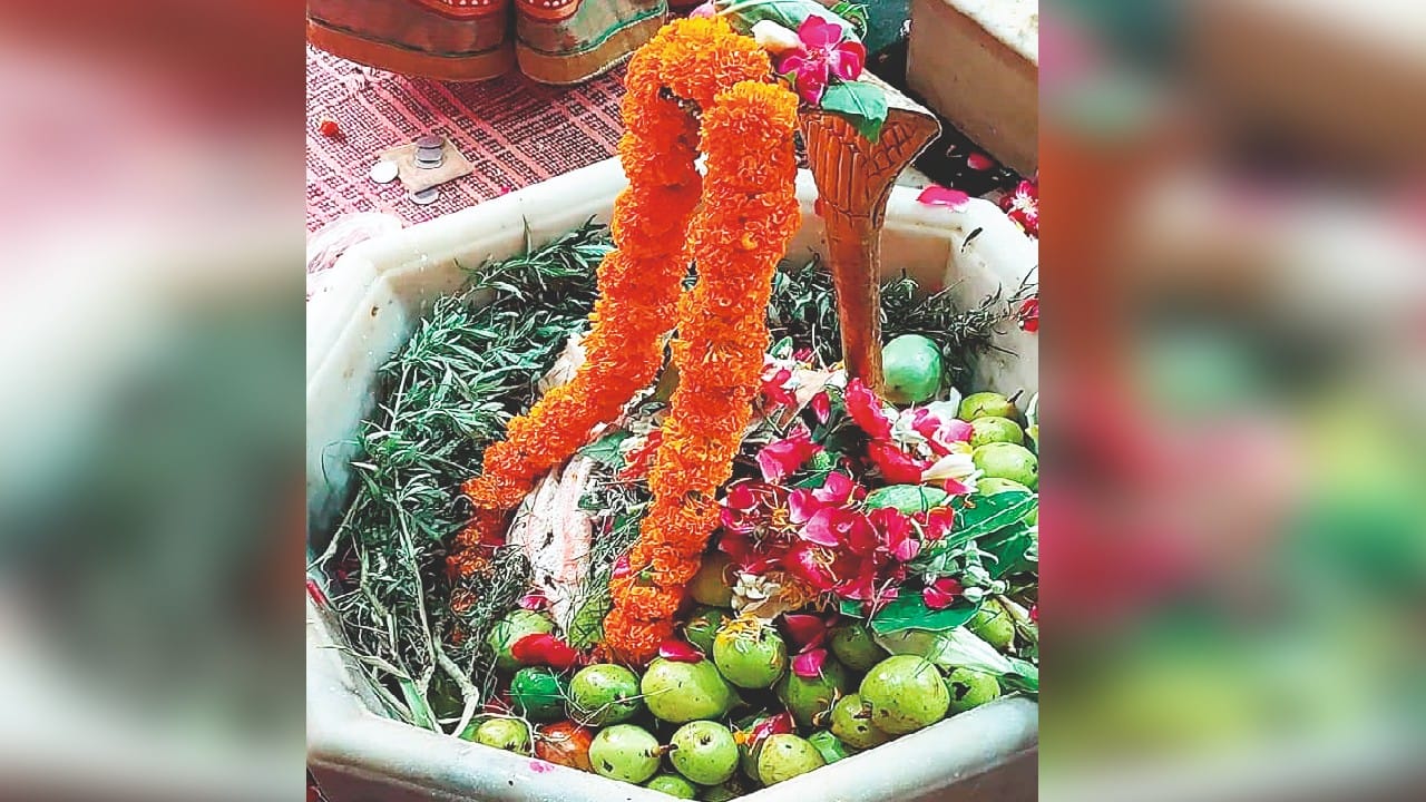 Devotees gathered to perform Jalabhishek in Nath temples  in Bareilly on sawan ka somwar