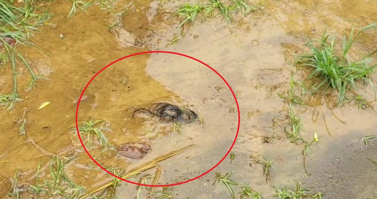 Retired Soldier six Murders farmer heart attack after seeing horrific scene of half-burnt bodies in ambala