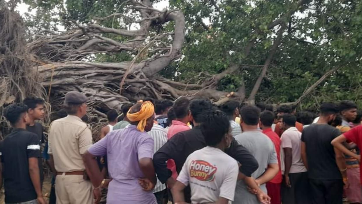 Bihar: innocent girl died after being buried under old banyan tree in Gopalganj, a woman was seriously injured