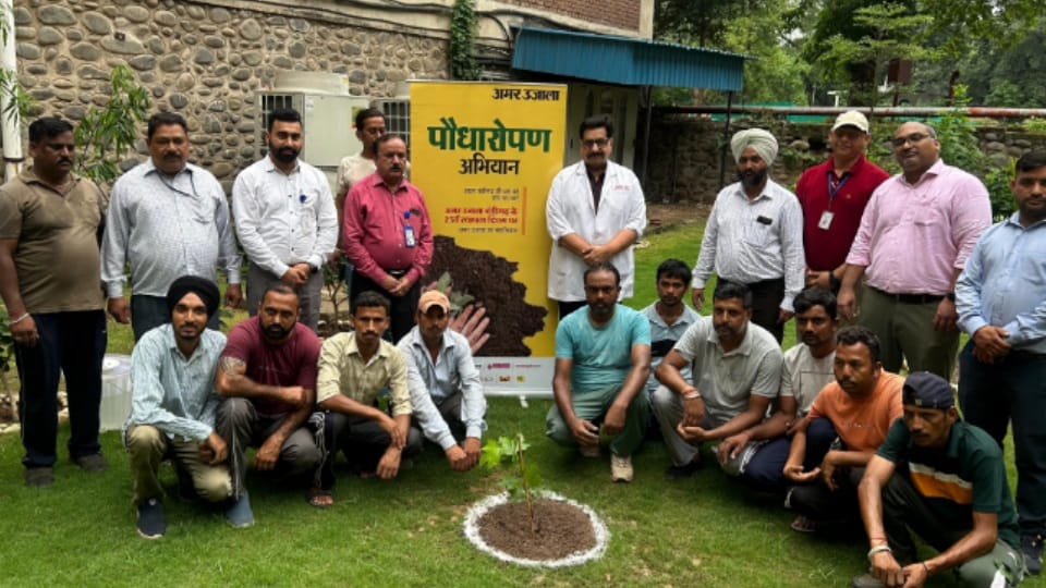 Chandigarh PGI officials associated with Amar Ujala plantation campaign