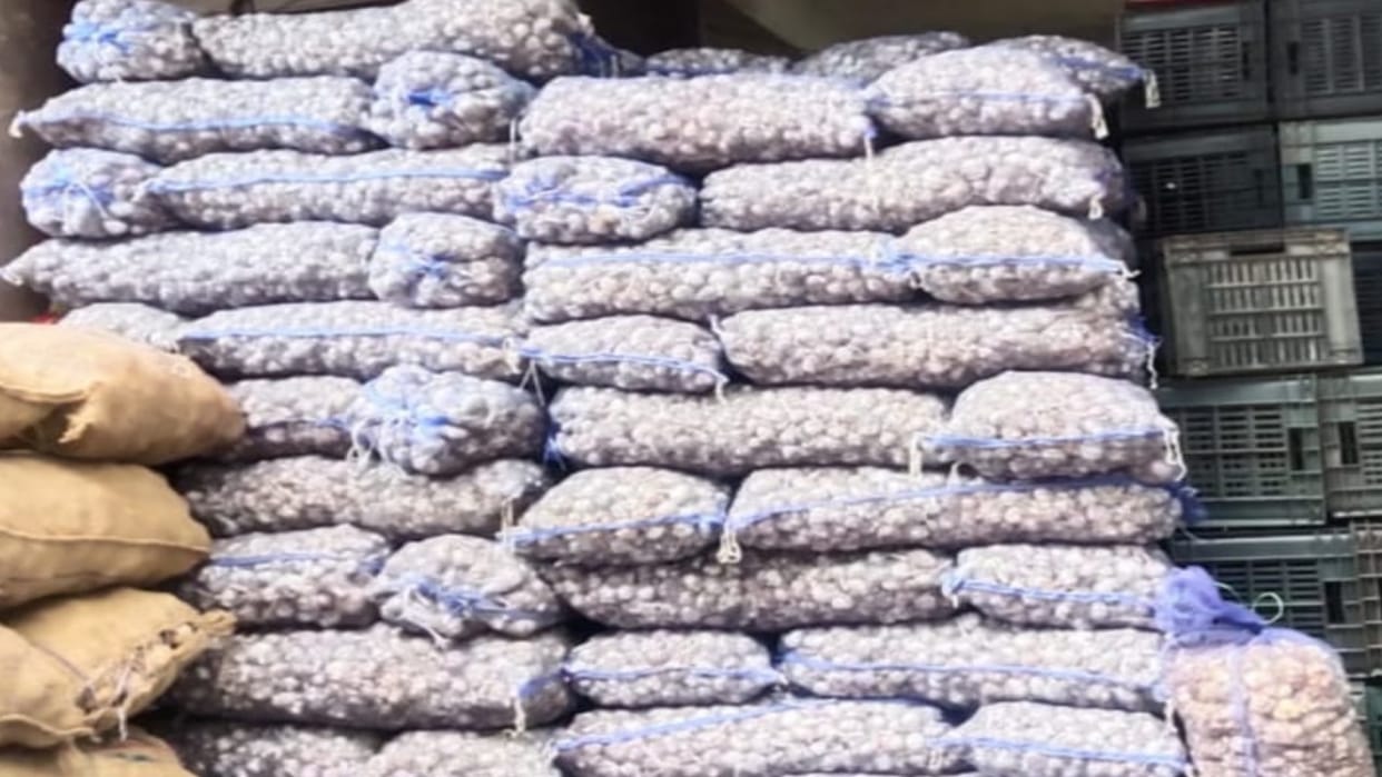Impact of inflation: Price of garlic seeds has doubled since last year