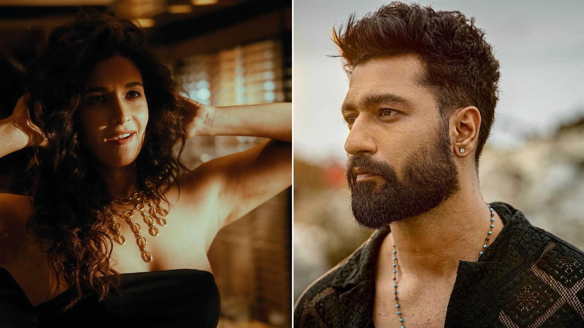 Vicky Kaushal ex girlfriend Harleen Sethi reacts to being labeled as his ex as per report