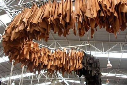 Kanpur products shine in Australia Oman exports worth 682 crores in April 2025 26