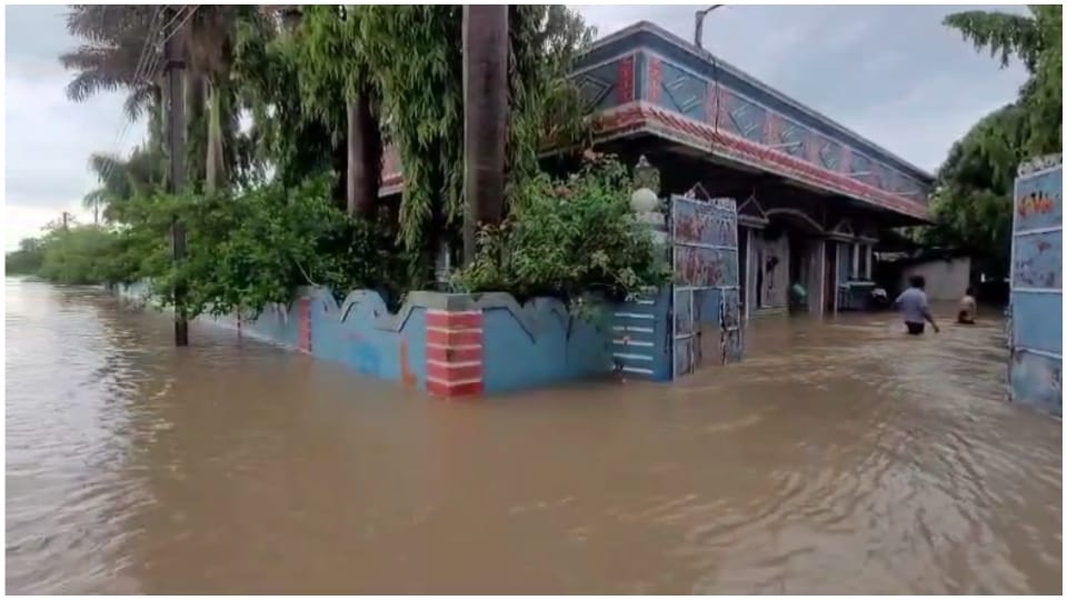 MP Weather Forecast Today IMD Alert for Rain Food Situation in Damoh Madhya Pradesh News in Hindi