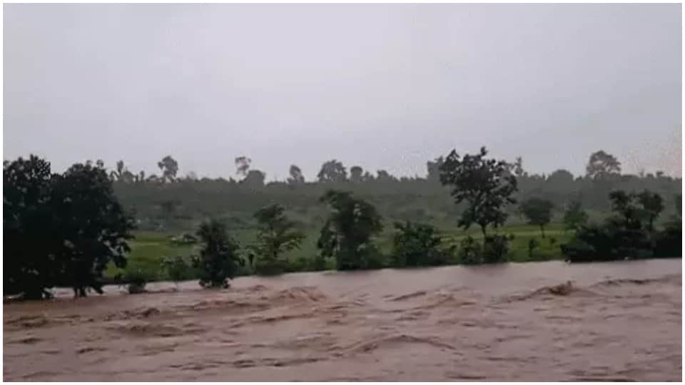 MP Weather Forecast Today IMD Alert for Rain Food Situation in Damoh Madhya Pradesh News in Hindi