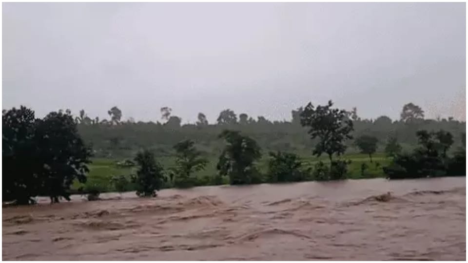 MP Weather Forecast Today IMD Alert for Rain Food Situation in Damoh Madhya Pradesh News in Hindi