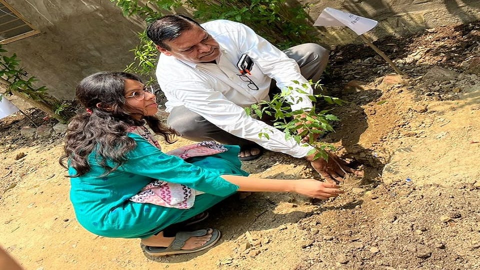 Mathura tops by planting 90 thousand more saplings than the target