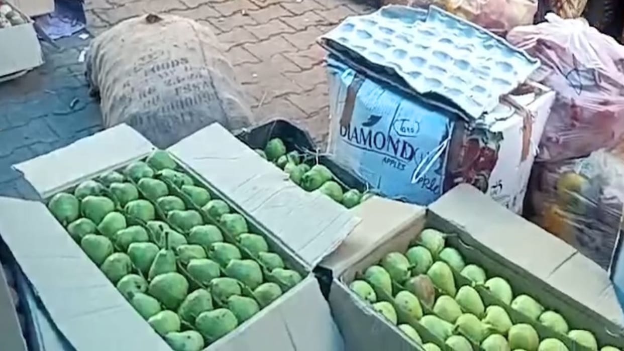 In Solan market, pear boxes were sold more expensive than Tydeman apples