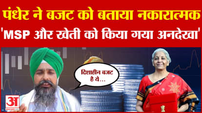 Budget 2024: Regarding the budget, farmer leader Pandher said that farmers have been ignored.