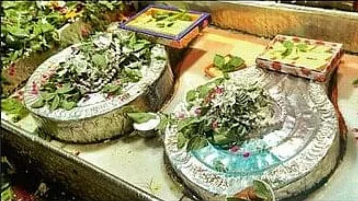 Baba Vishwanath stays with his brother-in-law in his in-laws house throughout the month of Sawan
